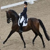 Equestrian Pilates - Laura's Ultimate Pilates